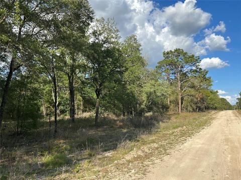 00 SE 73rd Pl #67, Morriston, FL 32668