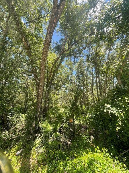 Buildingstone Street, Webster, FL 33597