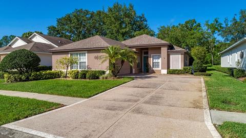 7003 Arcadian Ct, Mount Dora, FL 32757