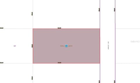 Apricot Avenue, Eustis, FL 32736