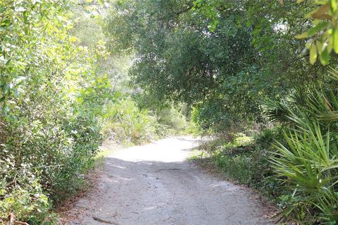 SW 151 St Place, Dunnellon, FL 34432