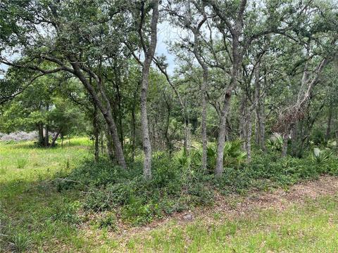 E Saffron Court, Eustis, FL 32736
