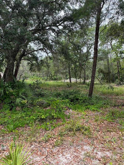 E Saffron Court, Eustis, FL 32736