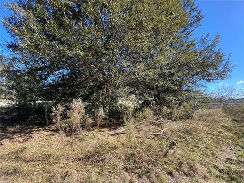 Pine Course, Ocala, FL 34472
