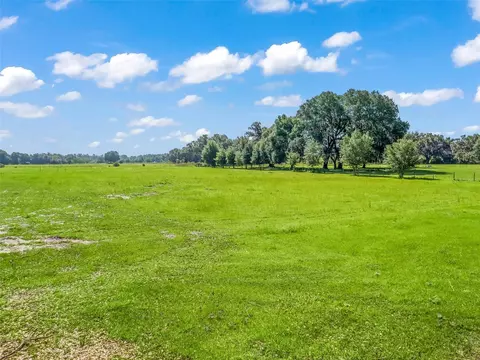 Cr 603, Bushnell, FL 33513