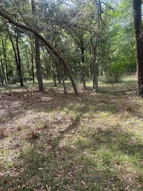 5822 SW 120th Ave, Webster, FL 33597