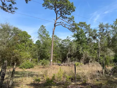 8671 N Brandy Ter, Dunnellon, FL 34433