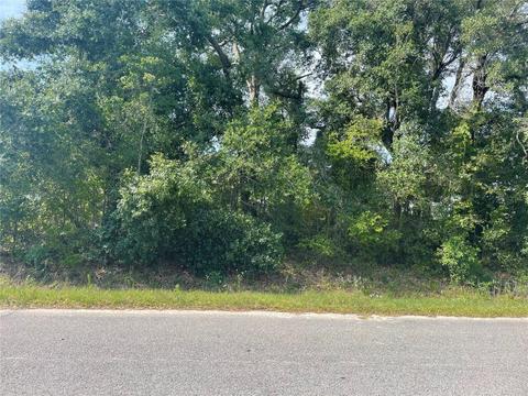 SE 158th Place, Summerfield, FL 34491