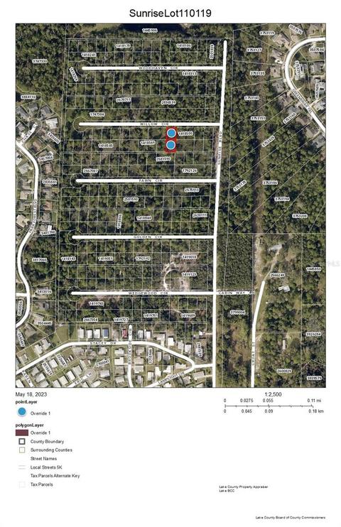 Sunrise Lots 110 & 119 Boulevard, Mount Dora, FL 32757