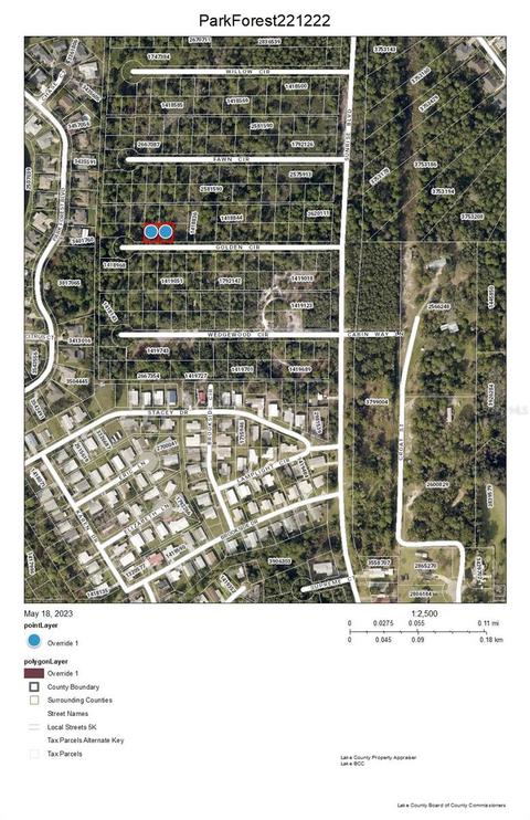 Park Forest Lots 221 & 222 Boulevard, Mount Dora, FL 32757