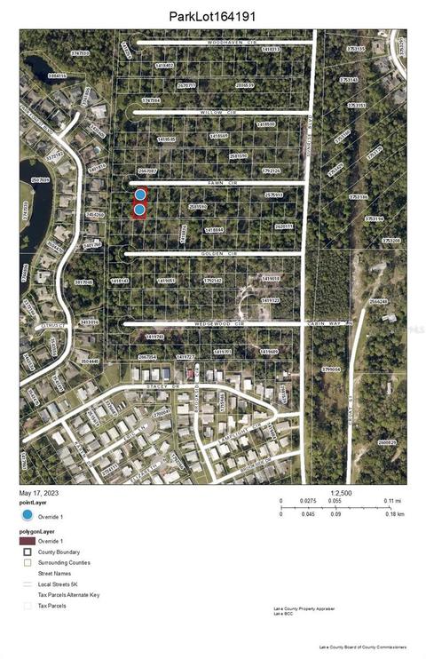Park Forest Lots 164 & 191 Boulevard, Mount Dora, FL 32757