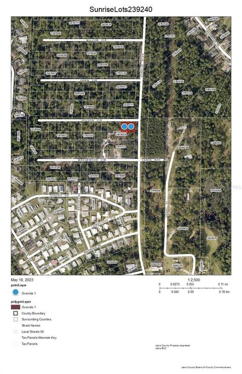 Sunrise Lots 239 & 240 Boulevard, Mount Dora, FL 32757