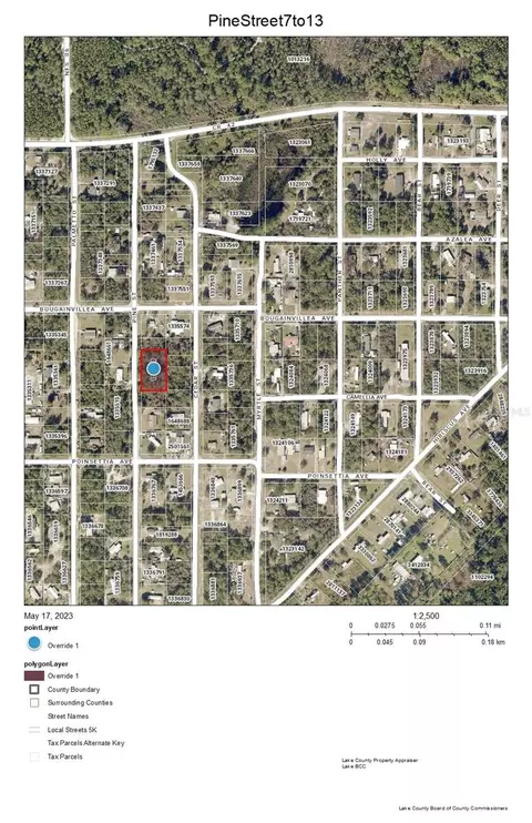 lot S 7-13 Pine St, Paisley, FL 32767