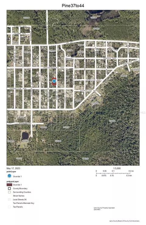 lot37 44 Pine St, Paisley, FL 32767