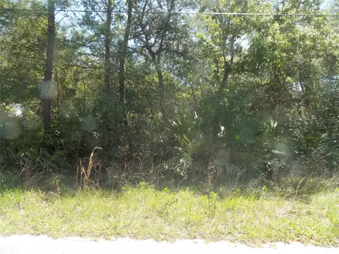 Cedar Street, Paisley, FL 32767