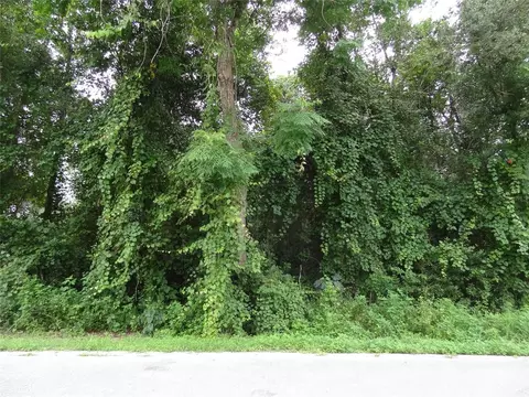 Pine Drive, Deland, FL 32720