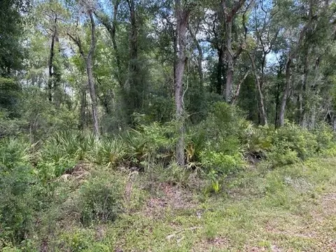 6471 Otter Dr, Webster, FL 33597 photo 3