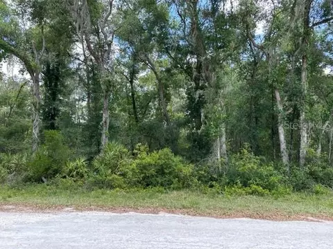 6471 Otter Dr, Webster, FL 33597