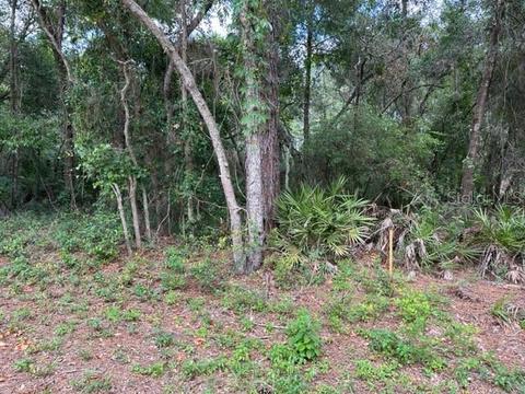 Berryhill Drive, Webster, FL 33597