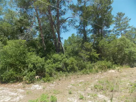 Myrtle Street, Paisley, FL 32767