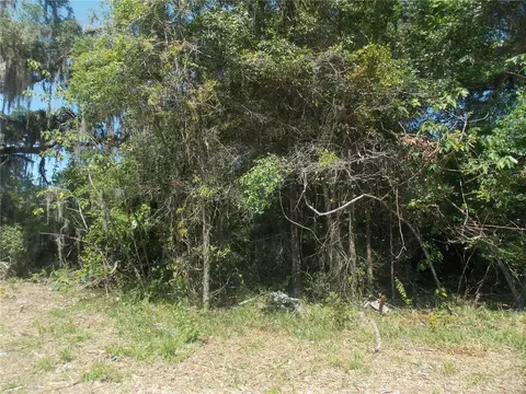 1010 S Warnell Rd, Coleman, FL 33521