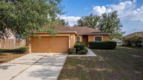 1030 White Bark Ct, Minneola, FL 34715