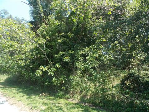 Tbd Se 5th Street, Webster, FL 33597