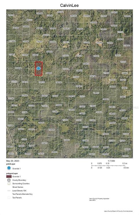 Calvin Lee Road, Clermont, FL 34711