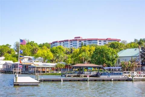 601 N Mcdonald St #404, Mount Dora, FL 32757