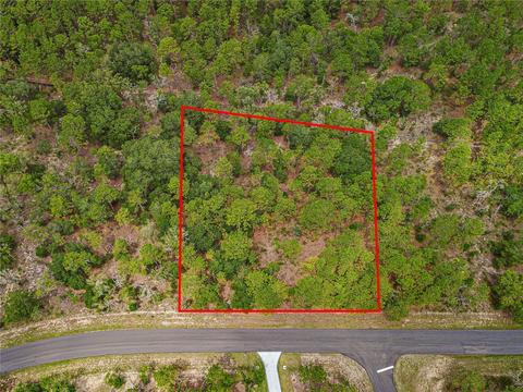 Tbd County Road 243b, Wildwood, FL 34785