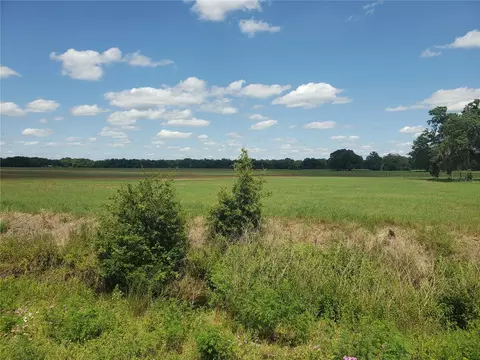 3979 E C-478, Webster, FL 33597
