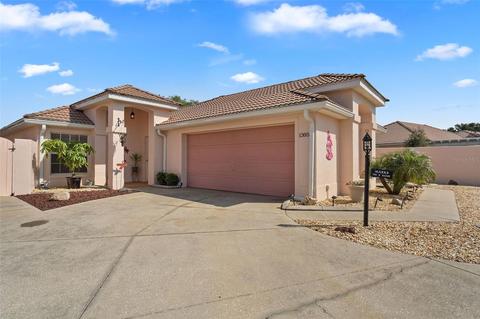 1305 Santa Rosa Ct, The Villages, FL 32159