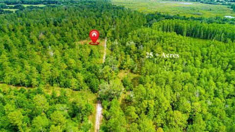 Tbd Cr 719, Webster, FL 33597