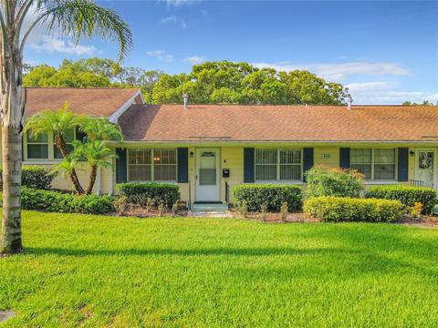 450 Liberty Ave #4, Mount Dora, FL 32757
