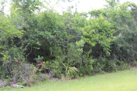 NE 134th Street, Fort Mc Coy, FL 32134