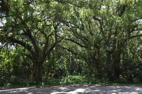 4509 Sloewood Ct, Mount Dora, FL 32757