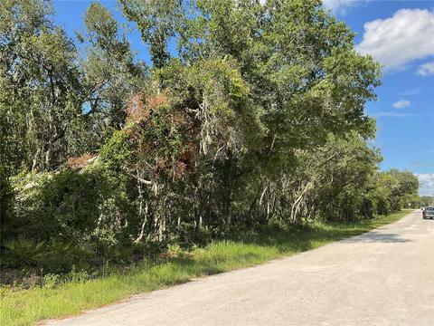 6493 Madonna Dr, Webster, FL 33597