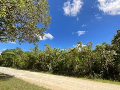 33436 Tombstone St, Webster, FL 33597