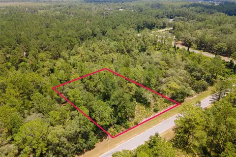 Saffron Avenue, Eustis, FL 32736