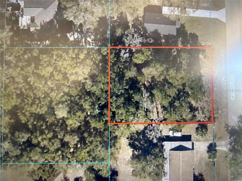 00 SE 101 Ter, Belleview, FL 34420