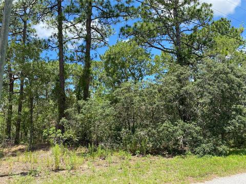 000 Nocklyn Rd, Spring Hill, FL 34609