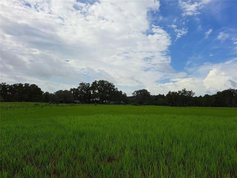 Ocilla Loop, Clermont, FL 34714