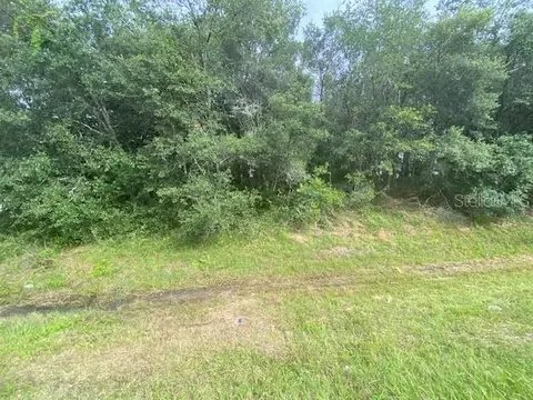00 State Road 44, Eustis, FL 32726