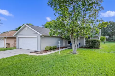 10317 Madison Park Ct, Clermont, FL 34711