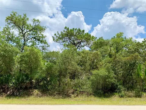 Lot 3 W Thyme Avenue, Eustis, FL 32736