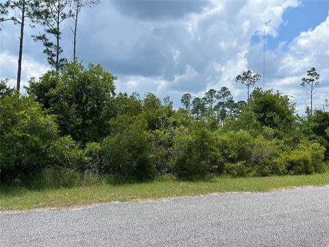 Apricot Avenue, Eustis, FL 32736