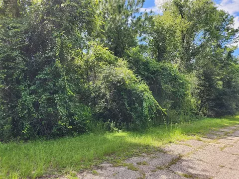 7900 N Addison Rd, Citrus Springs, FL 34434