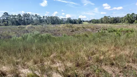 Orange Blossom Road, Howey In The Hills, FL 34737