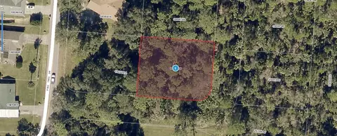 Pine Tree Drive, Eustis, FL 32726