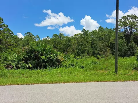 9060 Shasta St, Webster, FL 33597